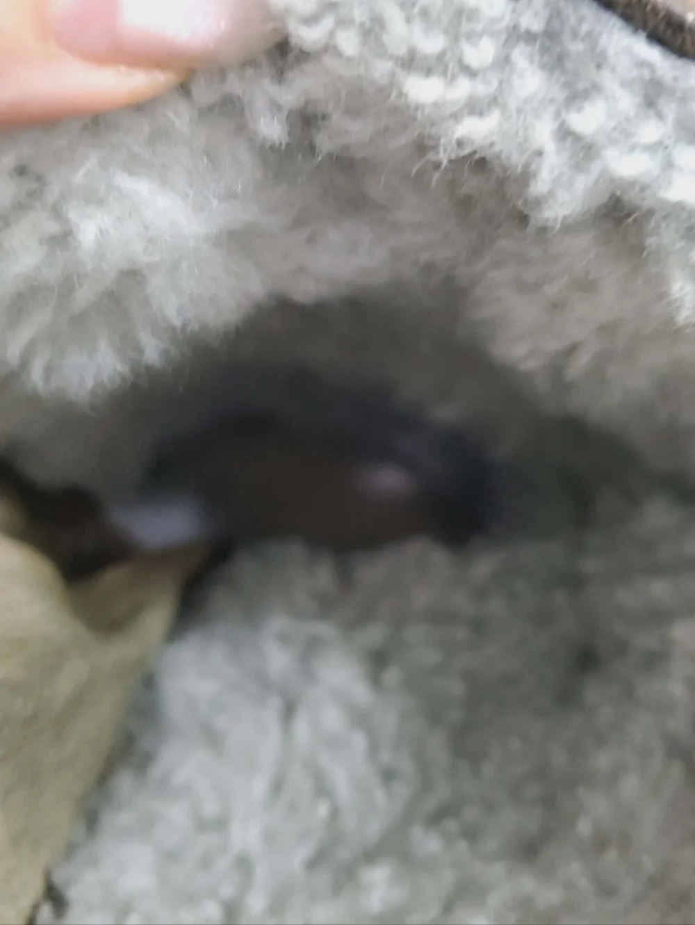 UGG Green Leather Shearling-Lined Mid Boots 7 - Picture 10 of 14